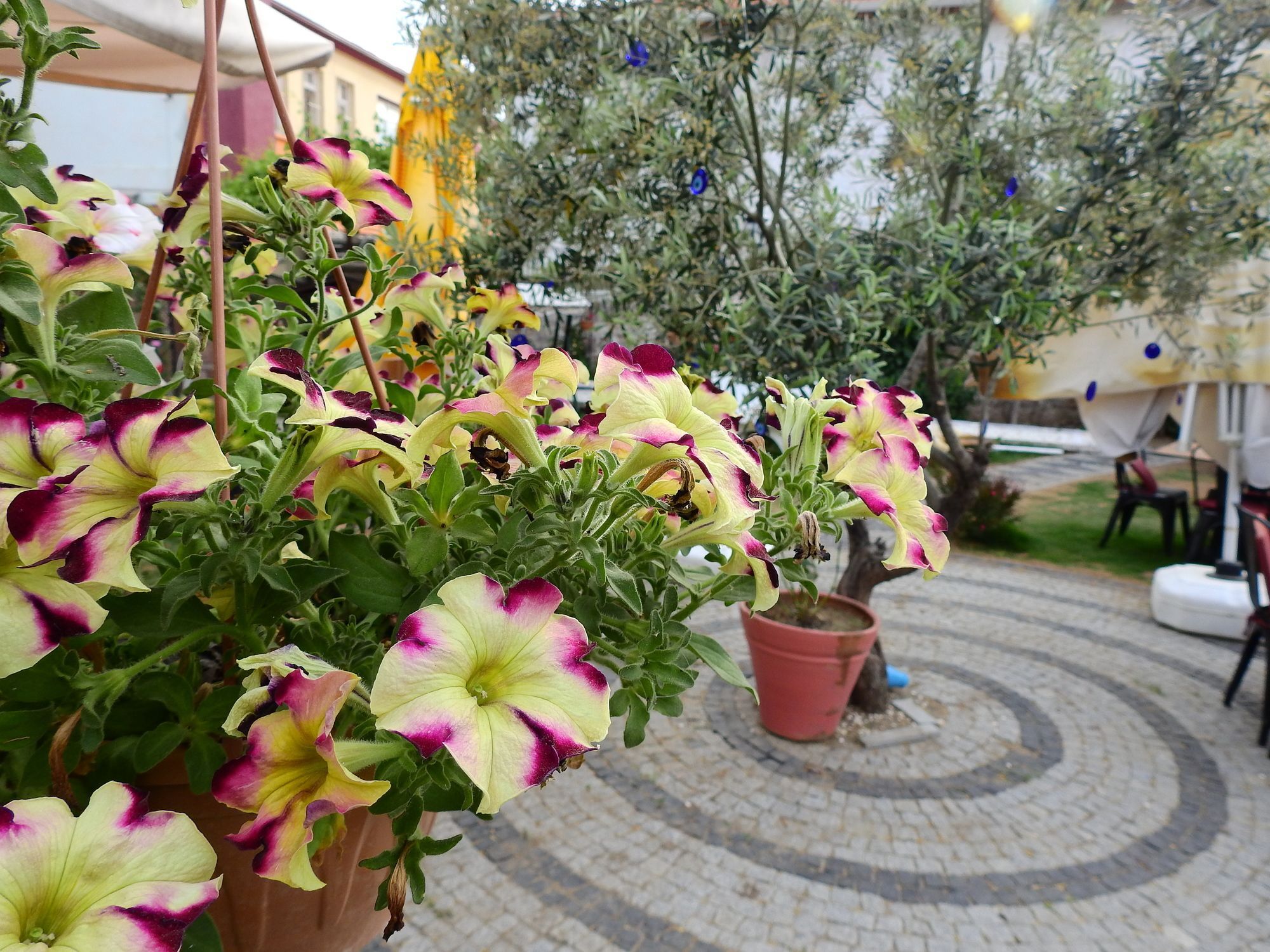 Eden Selene Hotel Ayvalı Eksteriør bilde